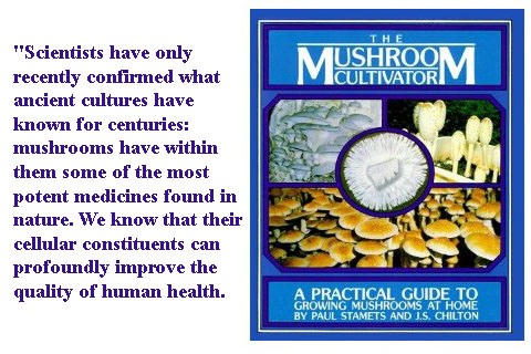 Cancer Fighting Foods in ED Recovery-Hot Herby Mushrooms by Gina Steer