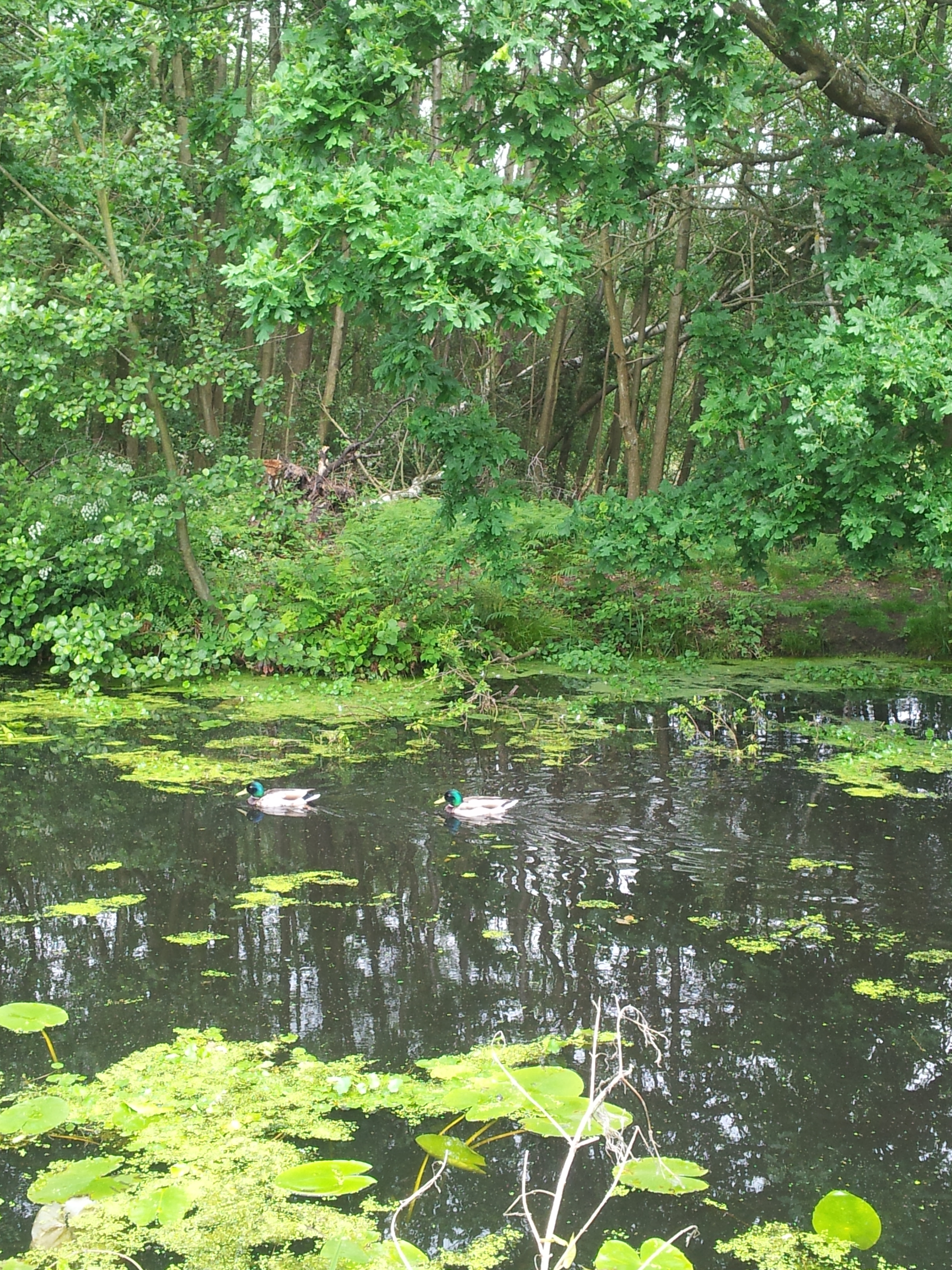 Open your Eyes and Look around, Life is Smiling