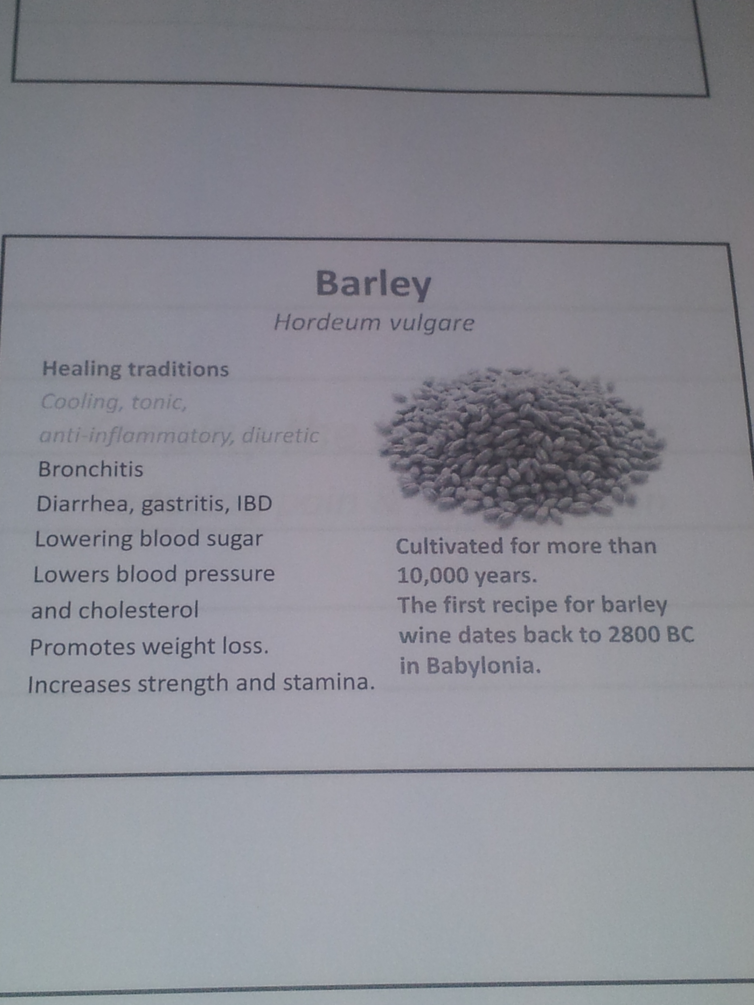 Barley Facts