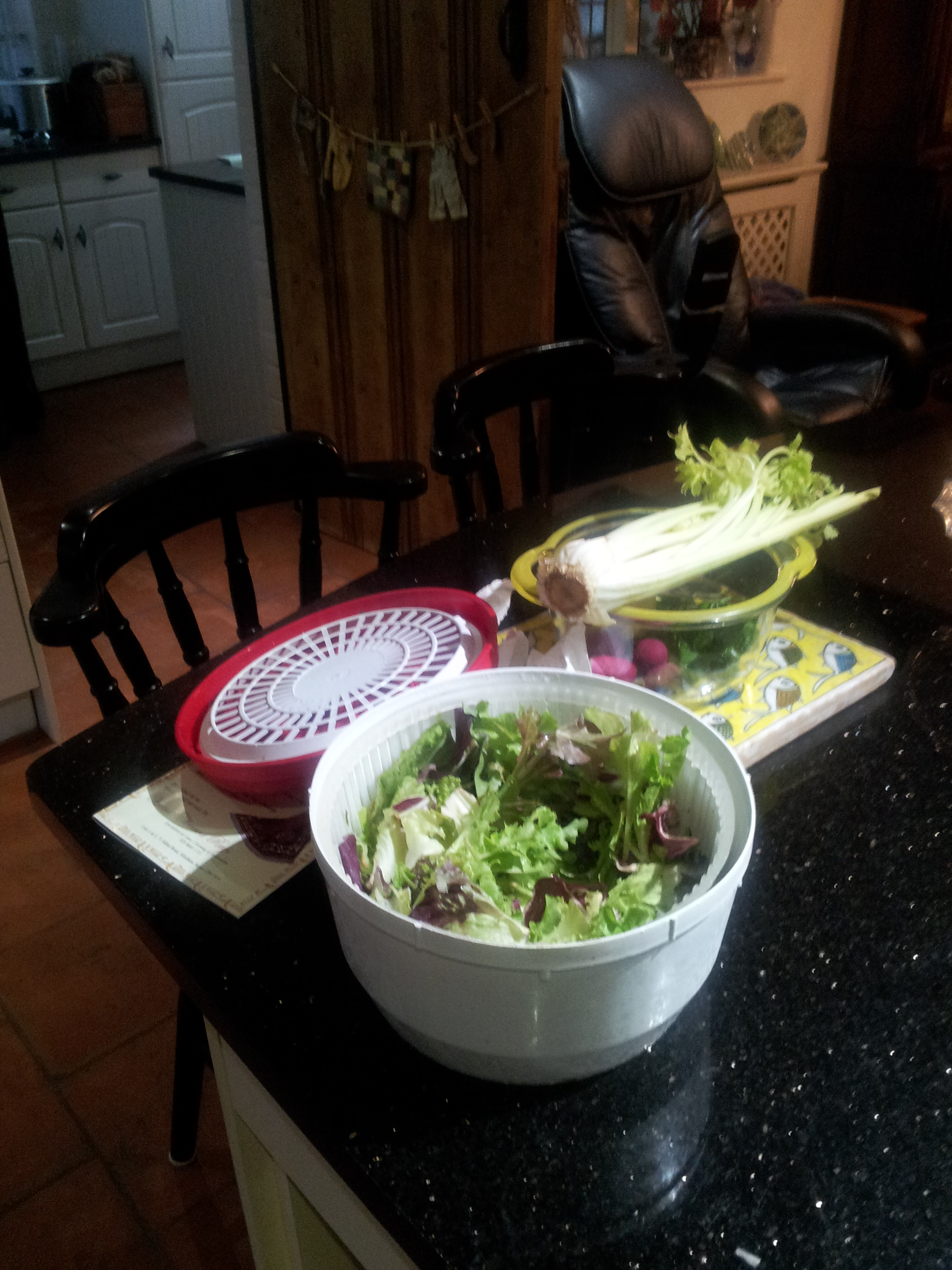 Garden Salad