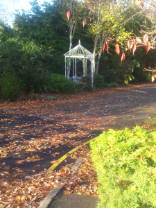 I would Just Walk off my Panic.