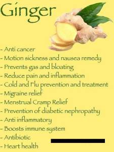 Ginger Health Benefits