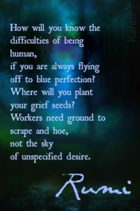 Rumi Perfection