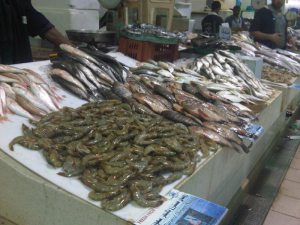 img00917-20100212-1800