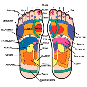Reflexology-chart