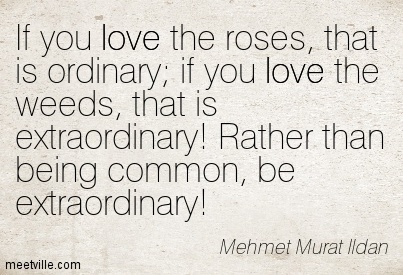 Quotation-Mehmet-Murat-Ildan-love-Meetville-Quotes-40837