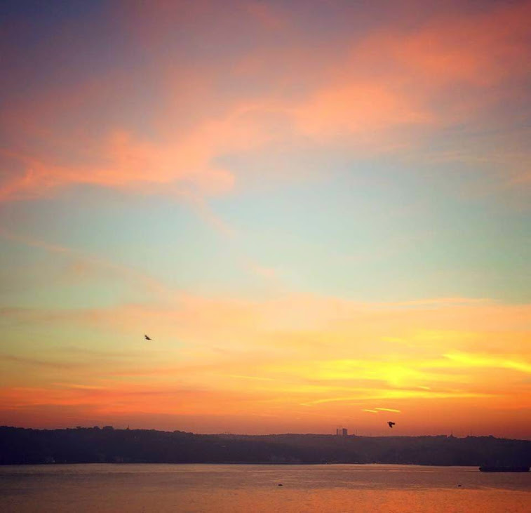 FB_IMG_1431135776363