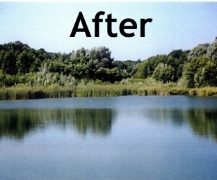 after-pond