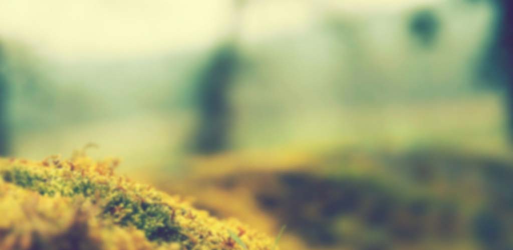 greenbanner